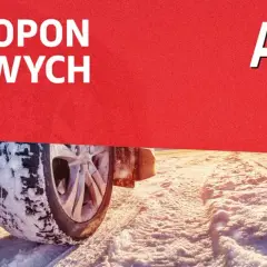 Jakie opony zimowe wybrać? Ranking najlepszych modeli 2025