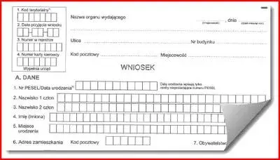 Jak wygląda profil kierowcy i co musisz o nim wiedzieć?