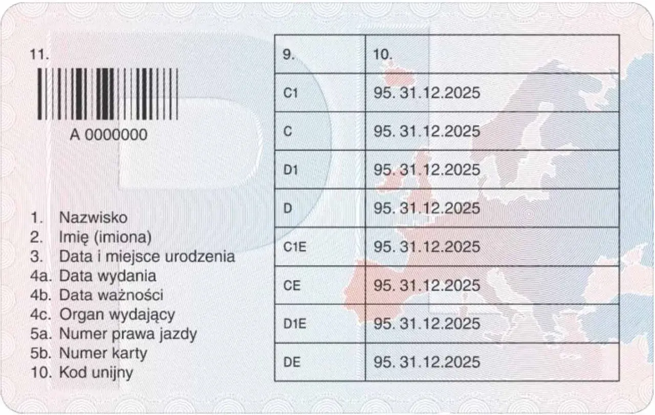 Karta kwalifikacji kierowcy od kiedy obowiązuje i co grozi za jej brak?