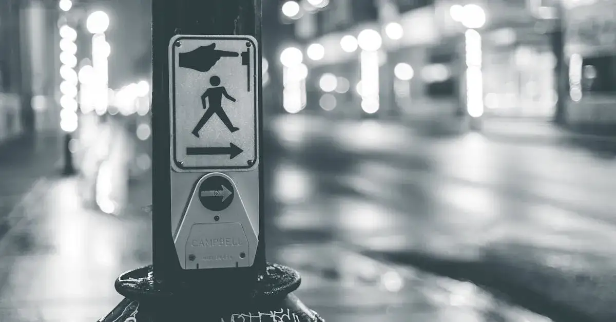 Zdjęcie Znaki drogowe dla dróg dla pieszych – Jakie są zasady i oznaczenia?